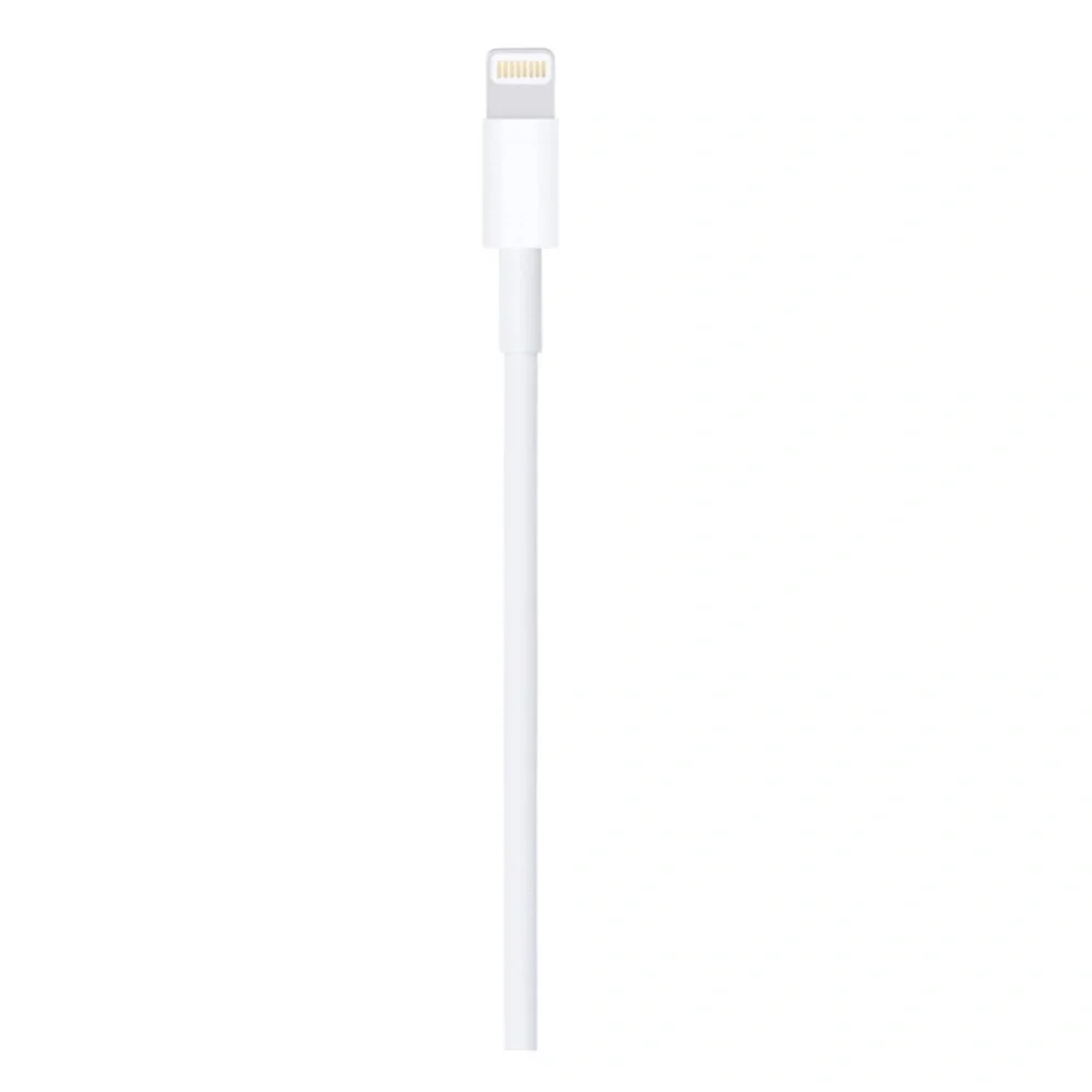 Apple Lightning to USB Cable (1 m)